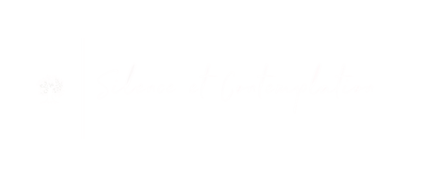Silence et contemplation